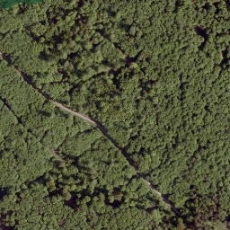 Satellite imagery of Schneisse, DE