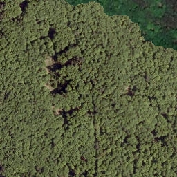 Satellite imagery of Schneisse, DE