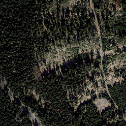 Satellite imagery of Nesselberg, DE