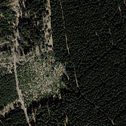 Satellite imagery of Nesselberg, DE