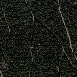 Satellite imagery of Kirchberg, DE