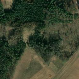 Satellite imagery of Wittchensteiner Höhe, DE