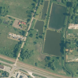 Satelita
