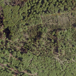 Satellite imagery of Kirchberg, DE