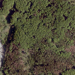 Satellite imagery of Weimarscher Kopf, DE