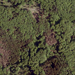 Satellite imagery of Weimarscher Kopf, DE