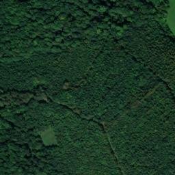 Satellite imagery of Buchenberg, DE