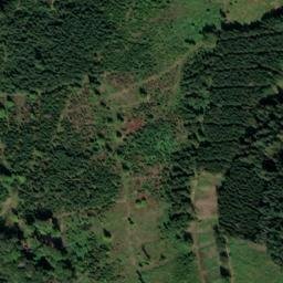 Satellite imagery of Bornkopf, DE