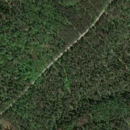 Satellite imagery of Haunberg, DE