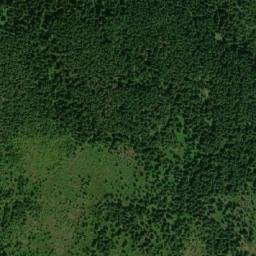 Satellite imagery of Pielgrzymy, PL