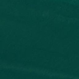 Satellite imagery of Gilkicker Point, GB