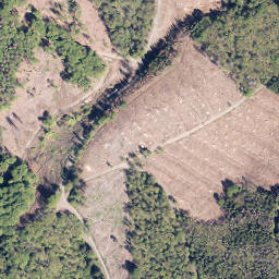 Satellite imagery of Stein, DE