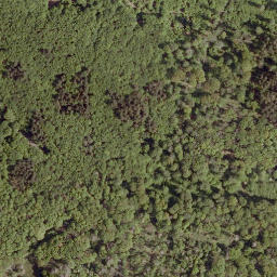Satellite imagery of Kirchberg, DE