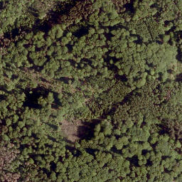 Satellite imagery of Weimarscher Kopf, DE