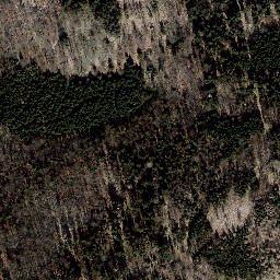 Satellite imagery of Mönchstein, DE