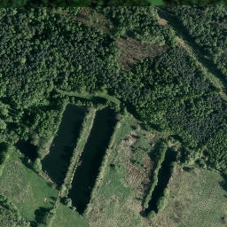 Satelita