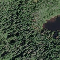 Satellite imagery of Mount Foster, CA