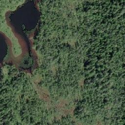 Satellite imagery of Mount Foster, CA