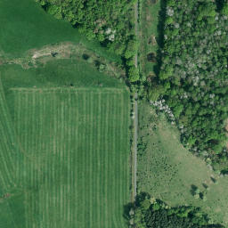 Satellite imagery of Niederpleiser Burg, DE