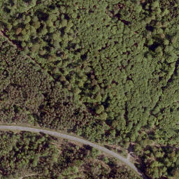 Satellite imagery of Ringelskopf, DE