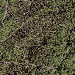 Satellite imagery of Ringelskopf, DE