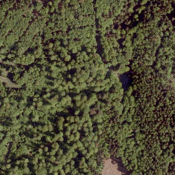 Satellite imagery of Ringelskopf, DE