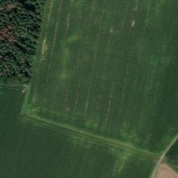 Satellite imagery of Schorn, DE