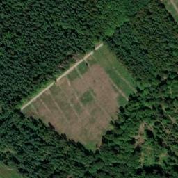 Satellite imagery of Bornkopf, DE