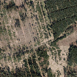 Satellite imagery of Trig point in Thuringia, DE, DE
