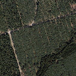 Satellite imagery of Rotes Kreuz, DE