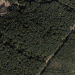 Satellite imagery of Auenberg, DE