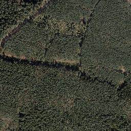 Satellite imagery of Auenberg, DE