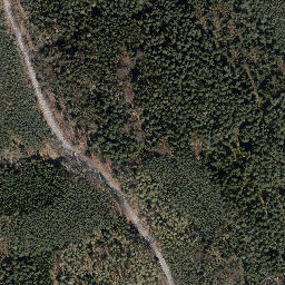 Satellite imagery of Auenberg, DE