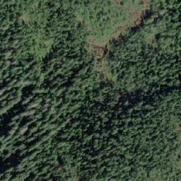 Satellite imagery of Mount Foster, CA