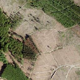 Satellite imagery of Alter Bornskopf, DE