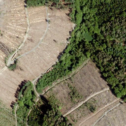 Satellite imagery of Alter Bornskopf, DE