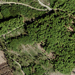 Satellite imagery of Hachenburger Höhe, DE