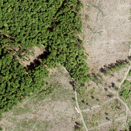 Satellite imagery of Kahlenberg, DE