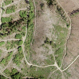 Satellite imagery of Kahlenberg, DE
