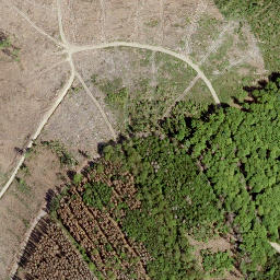 Satellite imagery of Kahlenberg, DE