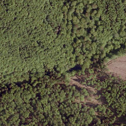 Satellite imagery of Heidenkopf, DE