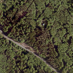 Satellite imagery of Ringelskopf, DE