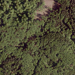Satellite imagery of Ringelskopf, DE