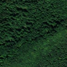 Satellite imagery of Wachkoppe, DE
