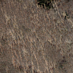 Satellite imagery of Mönchstein, DE