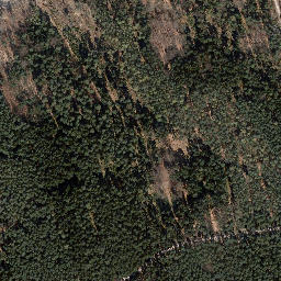 Satellite imagery of Trig point in Thuringia, DE, DE
