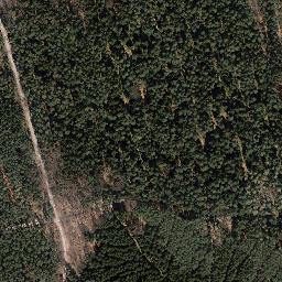 Satellite imagery of Trig point in Thuringia, DE, DE