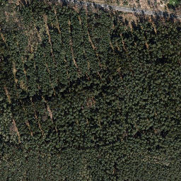 Satellite imagery of Trig point in Thuringia, DE, DE