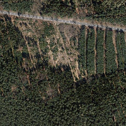 Satellite imagery of Trig point in Thuringia, DE, DE