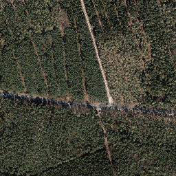 Satellite imagery of Trig point in Thuringia, DE, DE